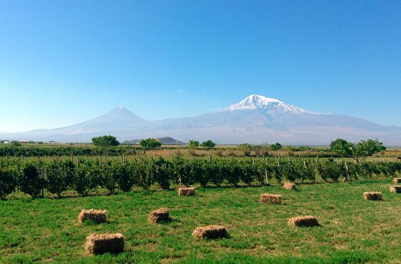 Ararat Valley, more than anywhere in the country, is facing a severe depletion of groundwater reserves.