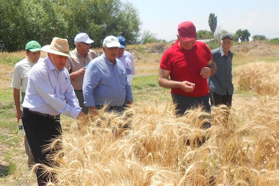 For the 2018-2019 growing season, more than 700 acres of farmland were sown by the Armenian Technology Group, Inc., to produce assorted varieties of seeds in Armenia.