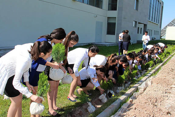 Avedisian School students planting trees