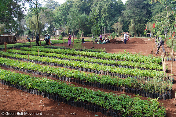 One of the Green Belt Movement's tree nurseries in Kenya; the organization's founder, the late Wangari Maathai, was awarded the Nobel Peace Prize in 2004